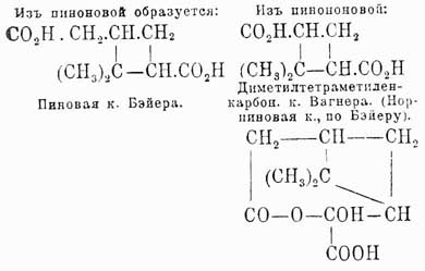 Пиноилмуравьиная кислота указанной выше формулы известна лишь в солях и иных производных, в свободном же состоянии она является в виде лактона.