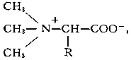 кристаллические вещества. Б. — внутренние соли триалкилзамещённых аминокислот. Молекула Б. содержит положительно заряженный четвертичный атом азота и отрицательно заряженную карбоксильную группу, представляя собой, т. о., биполярный ион. Б. хорошо растворимы в воде. С рядом кислот и с хлоридами тяжёлых металлов Б. образуют нерастворимые соединения (например, золото-, платино-, свинцовохлористоводородные соли). Эту реакцию используют для их выделения. Б. распространены в животном и растительном мире. Их получают действием алкилгалогенидов или алкилсульфатов на аминокислоты и др. способами.