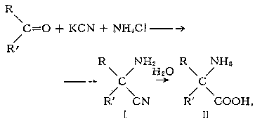 где R и R' = H, алифатический, алициклический или ароматический радикал. Реакцию проводят в водных средах при 0—20°С в течение нескольких часов. С выходами 60—90% образуются α-аминонитрилы (I), гидролизуемые далее в α-аминокислоты (II). З. — С. р. — усовершенствованный метод циангидринного синтеза α-аминокислот, разработанного немецким химиком А. Штреккером (1850). Реакция открыта Н. Д. Зелинским и Г. Стадниковым в 1906. 