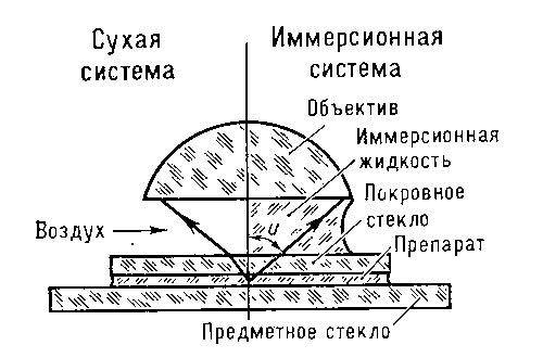 Рис. к ст. Иммерсионная система.