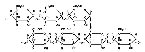 Рис. 2. Участок молекулы гликогена; остатки глюкозы соединены 1,4-гликозидными связями, а в точке ветвления — 1,6-гликозидной связью.