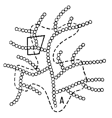 Рис. 1. Схема молекулы гликогена: А — «альдегидное» начало цепи; мелкие кружки — глюкозные остатки. Пунктиром обведены границы β-декстрина; четырёхугольник — участок молекулы, формула которого приведена на рис. 2.
