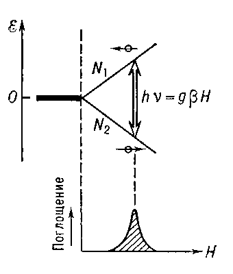 Рис. 2. При hv = g?H происходит резонансное поглощение энергии переменного электромагнитного поля.