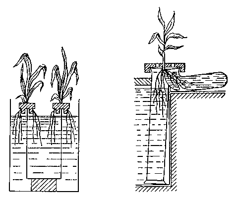 Схемы монтажа сосудов при методах изолированного питания растений (слева) и «изолированных температур» (справа).