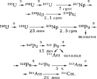 Схема образования трансурановых элементов в ядерном реакторе.
