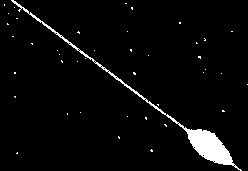 Рис. 1. Фотография яркого метеора со вспышкой, полученная 11 августа 1964 в Душанбе с помощью фотокамеры, вращающейся в соответствии с суточным движением небесной сферы; видны изображения звёзд.