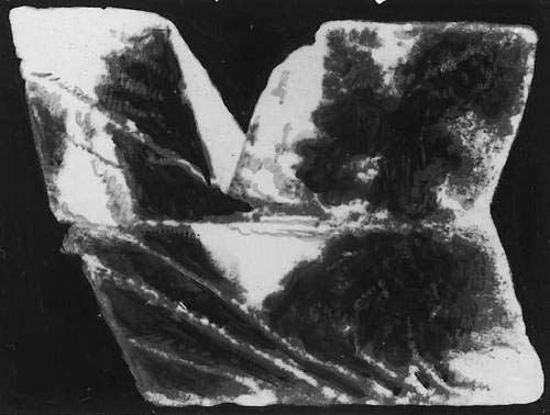Рис. 2б. Фотография сдвойникованного кальцита.