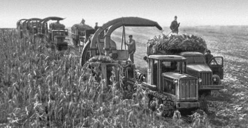 Уборка кукурузы групповым методом в колхозе «Гигант» Вулканештского р-на Молдавской ССР.