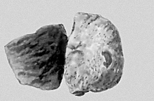 Каменный метеорит Старое Борискино (слева), упавший 20 апреля 1930 в Оренбургской обл., и каменный метеорит Старое Песьяное (справа), упавший 2 октября 1933 в Курганской обл. В изломах видно чёрное внутреннее вещество у первого метеорита и светло-серое — у второго.