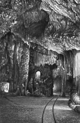 Югославия. Пещера Постойнска-Яма в Динарском Карсте.
