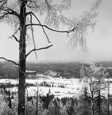 Финляндия. Зимний пейзаж в южной Финляндии.