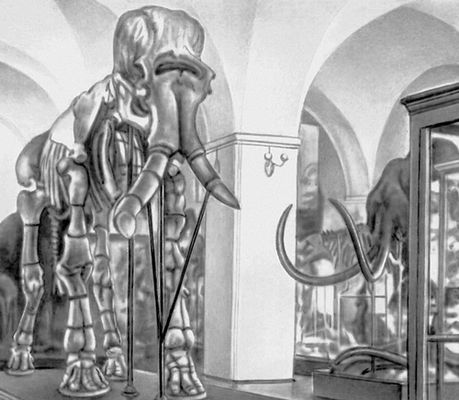 Зоологический музей в Ленинграде. Скелет исполинского ископаемого южного слона с берегов Азовского моря, справа — голова ленского мамонта.
