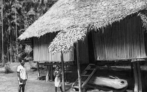 Жилище папуасов деревни Бонгу. Берег Миклухо-Маклая (о. Новая Гвинея). 1971.