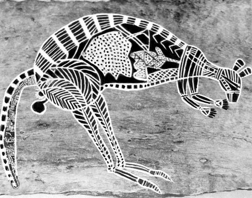 Искусство аборигенов Австралии. Изображение кенгуру в «рентгеновском стиле» на коре. Арнемленд.