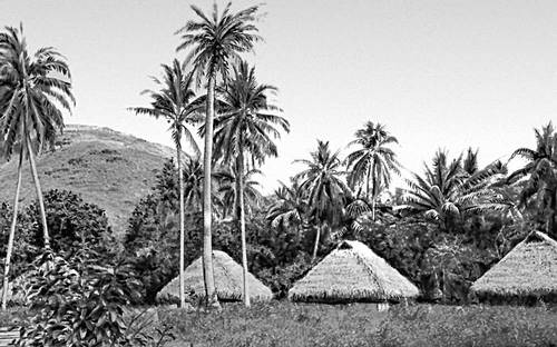 Деревня на острове Таити.