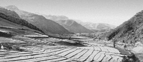 Рисовые поля на склонах гор центральной части Кореи.