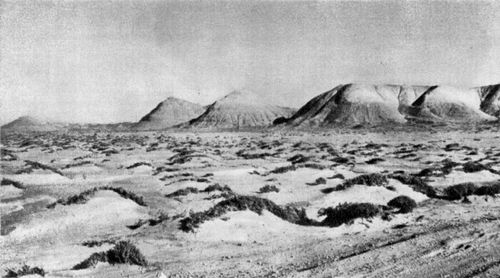 Пустыня с кучевыми песками в Бэйшане (Северо-Западный Китай).