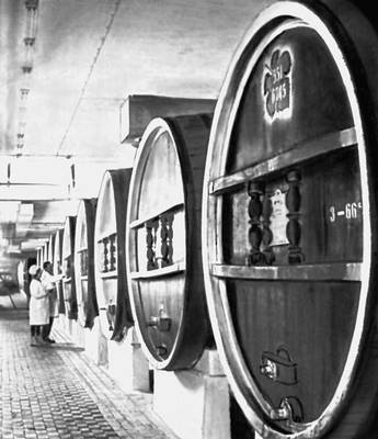 В подвалах «Массандры» — комбината по производству вин. Крымская область.