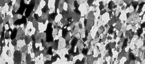 Рис. 2. Микроструктура алюминия после рекристаллизации, наблюдаемая с помощью светового микроскопа в поляризованном свете.