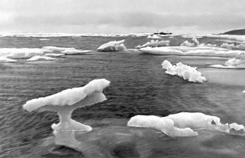 Тающие льды в Беринговом море.