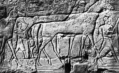 Фрагмент рельефа храма Амона в Гебель-Баркале. 8 в. до н. э.