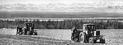 Сахалинская область. Посадка картофеля в совхозе «Южно-Сахалинский».