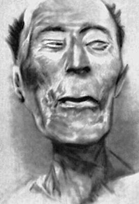 Голова мумии Рамсеса II. Музей в Каире.