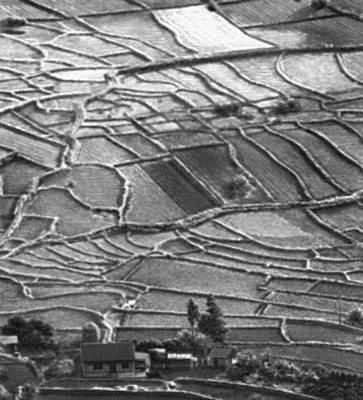 Террасированные рисовые поля на о. Кюсю.