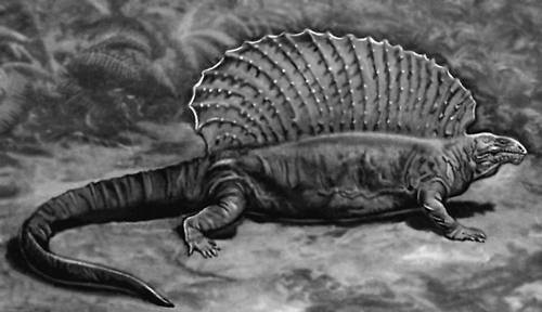 Эдафозавр (поздний карбон).