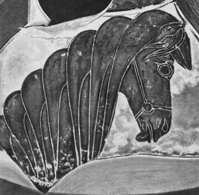 Голова коня. Фрагмент амфоры из Велапидезы. Ок. 550 до н. э. Национальный археологический музей. Афины.