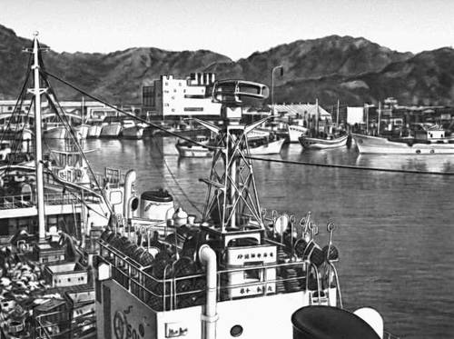 Рыболовные суда в порту Яидзу (префектура Сидзуока, о. Хонсю).