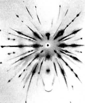 Астеризм на лауэграмме деформированного изгибом кристалла КС1. Параллельно пучку рентгеновых лучей располагается направление [100].