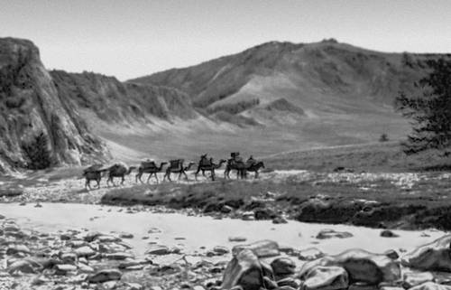 Караван верблюдов в долине реки Агариин-Гол (Хубсугульский аймак).