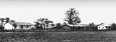 Танзания. Деревня «уджамаа» в Кереге.