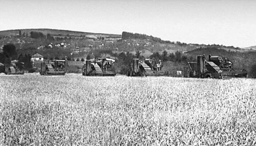 Югославия. Уборка пшеницы на полях Боснии.