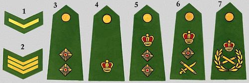 Вооружённые силы Великобритании: 1. Капрал. 2. Штаб-сержант. 3. Лейтенант. 4. Майор. 5. Полковник. 6. Генерал. 7. Фельдмаршал.
