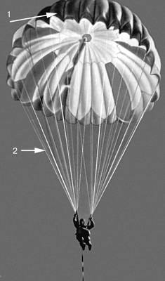 Рис. 1. Снижение спортсмена-парашютиста на управляемом парашюте: 1 — купол; 2 — стропы.
