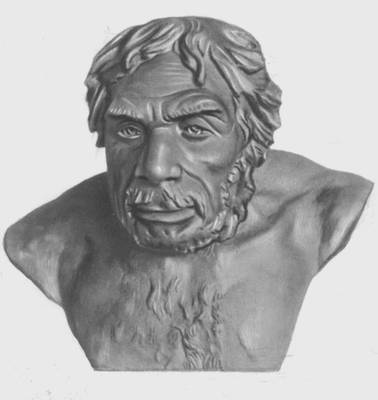 Неандерталец из Ла-Шапель-о-Сен. Реконструкция М. М. Герасимова.