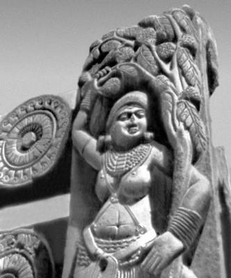 Скульптура ворот ступа в Бхархуте. 2 в. до н. э. Индийский музей. Калькутта. Песчаник.