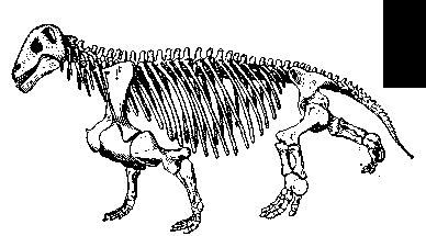 Скелет   растительноядного дейноцефала   (Moschaps capensis)   (реконструкция).