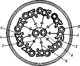 Схема поперечного сечения (ультраструктура) жгутика и ресиички: 1 и 2 — микротрубочки; 3 — соединение между сдвоенными микротрубочками; 4 и 5 — наружная и внутренняя «ручки»; 6 — «спица»; 7 — утолщение на «спице», соответствующее поперечному срезу продольных   филаментов.