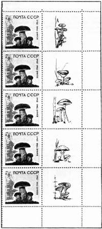 Крайняя вертикальная полоска листа марок с купонами (СССР)