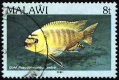 Почтовая марка Республики Малави