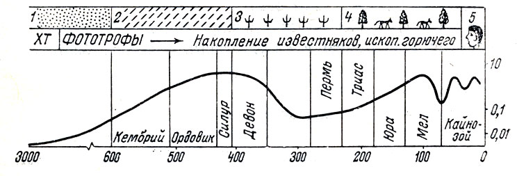 Эволюция биосферы: 1 - только одноклеточные; 2 - многоклеточные организмы; 3 - наземная растительность и появление позвоночных животных; 4 - высшие растения и животные; 5 - взрыв популяции человека; XT - анаэробные хемотрофы. Кривая линия - колебание уровня кислорода в атмосфере (относительно современного уровня, принятого за единицу, - шкала по оси