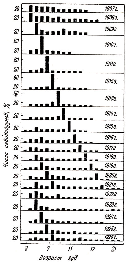 Возрастная структура популяции сельди (Clapea harengus: Тимофеев-Ресовский, 1973)