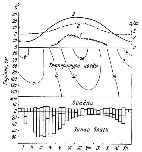 Годовая динамика запаса кормов (1) на полынно-боялычевом пастбище и экологических факторов: средиедекадной температуры воздуха (2), дефицита влажности (3); в середине - кривые температуры почвы; внизу - диаграммы количества осадков, влажности завядания и запаса влаги в почве (Федосеев, 1964)