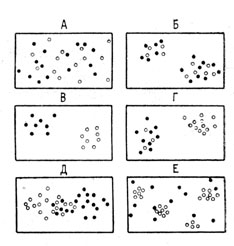 Рис. 27. Типы размещения особей двух ценопопуляций растений: А - диффузное несегрегированное (неразобщенное) ; Б - групповое несегрегированное; В - групповое сегрегированное; Г - групповое частично сегрегированное; Д - диффузное частично сегрегированное; Е - частично сгруппированное и сегрегированное (Грейг-Смит, 1964)