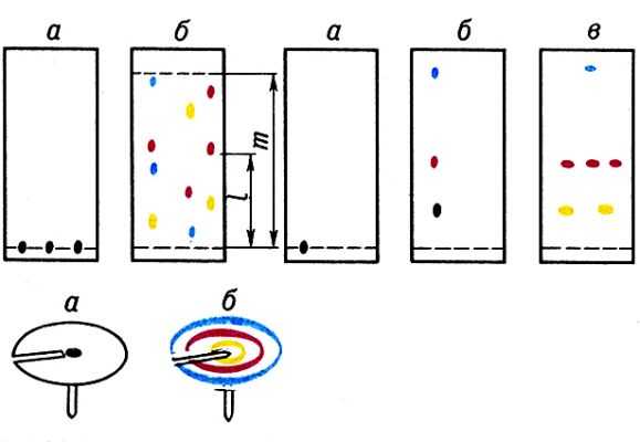 Виды хроматографии; а - до разделения; б, в - после первого и второго разделений смесей веществ. 