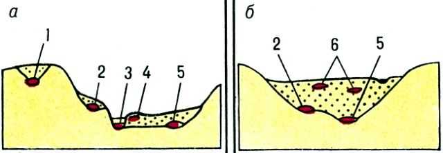 Pис. 1. Геоморфологическое положение аллювиальных россыпей в поднятиях (a) и впадинах (б): 1 - водораздельная россыпь; 2 - террасовая; 3 - русловая; 4 - косовая; 5 - долинная; 6 - висячая. 