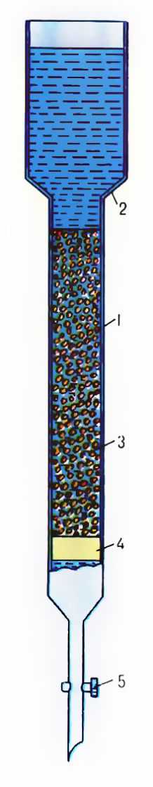  Хроматографическая колонка: 1 - колонка; 2 - раствор; 3 - ионит; 4 - пробка из стекловолокна; 5 - кран для регулировки скорости прохождения раствора через колонку